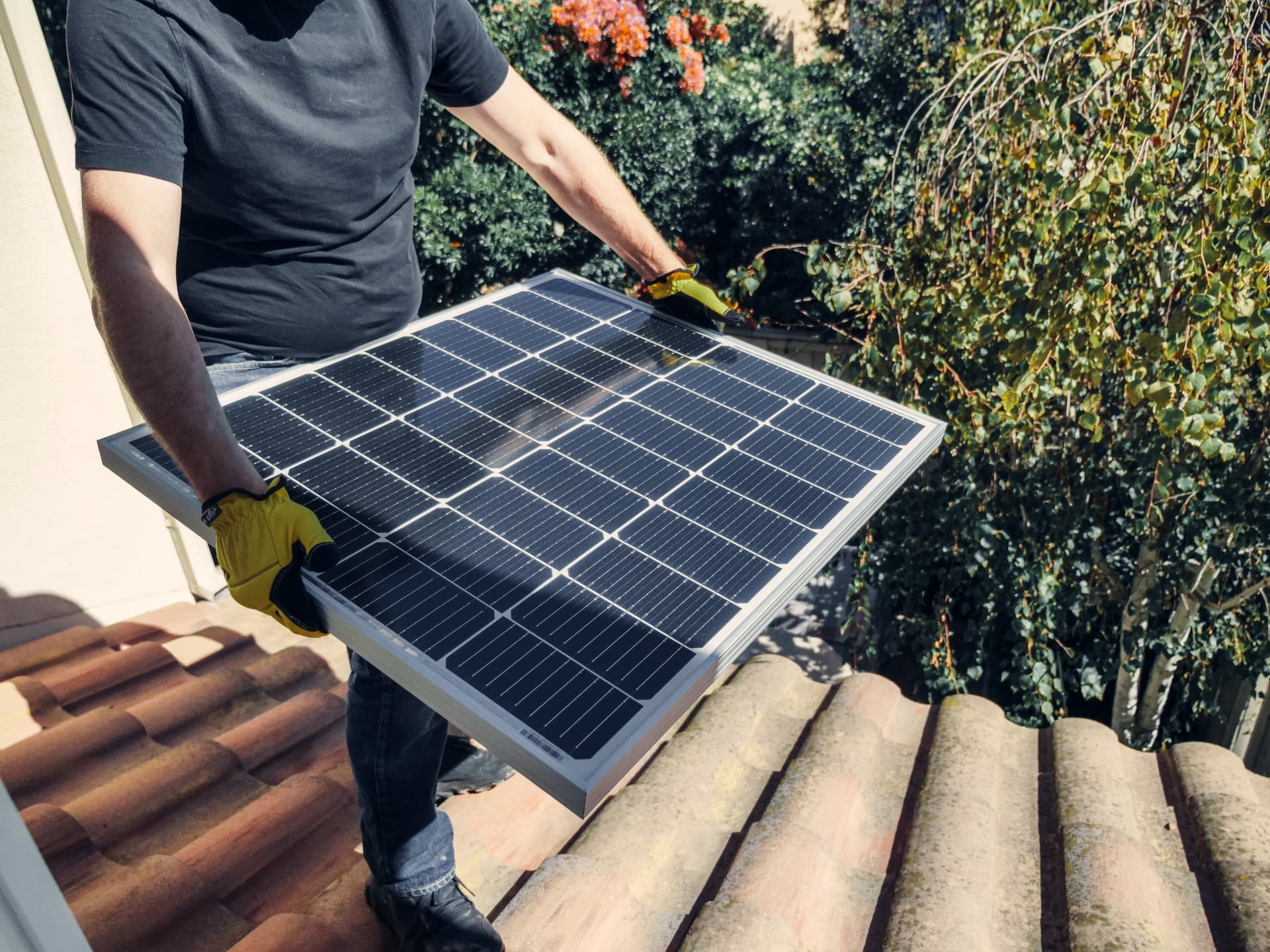 Renewable Energy and Sustainable Technology Solutions Shaping a Cleaner Future